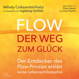 Flow - der Weg zum Glck